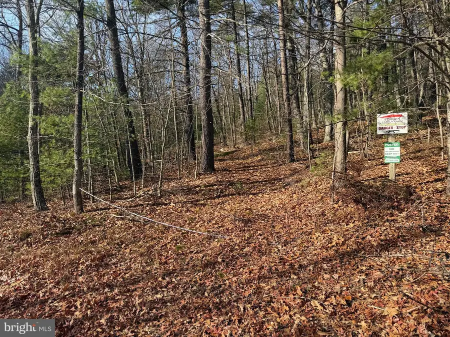 5 Edwards Run Rd, Capon Bridge, WV 26711 - Image #2