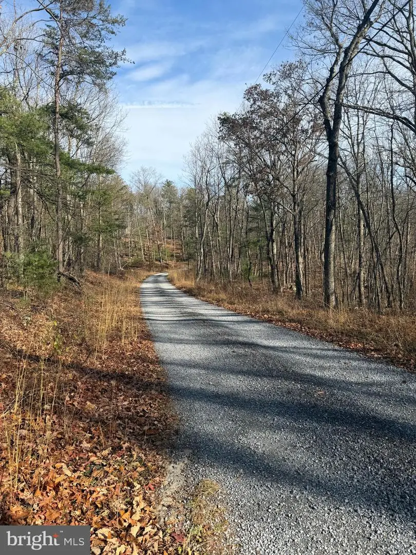 5 Edwards Run Rd, Capon Bridge, WV 26711 - Image #3