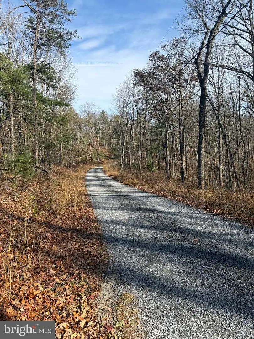 5/6 Edwards Run Rd, Capon Bridge, WV 26711 - Image #3