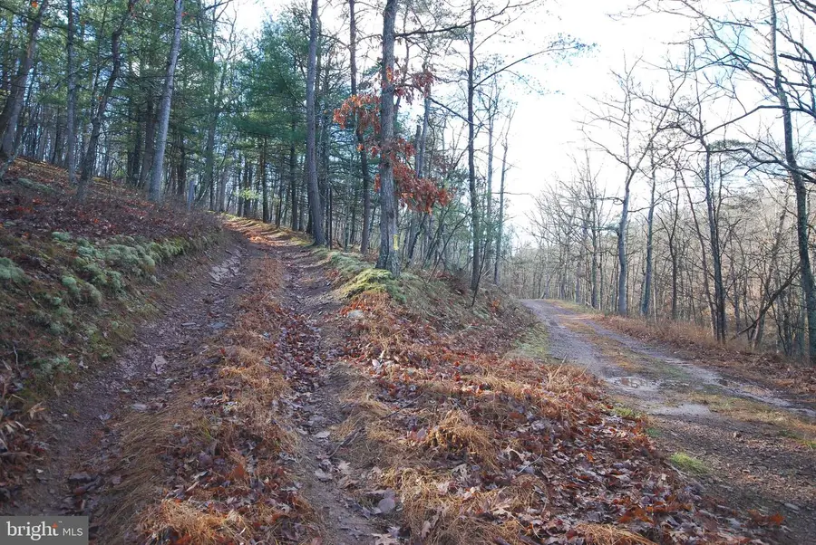 Lot 70 & 71 Mill Mountain Rd, Romney, WV 26757 - Image #2