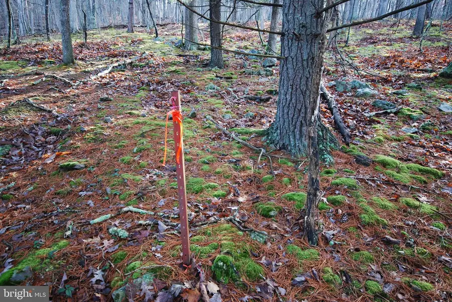 Lot 70 & 71 Mill Mountain Rd, Romney, WV 26757 - Image #3