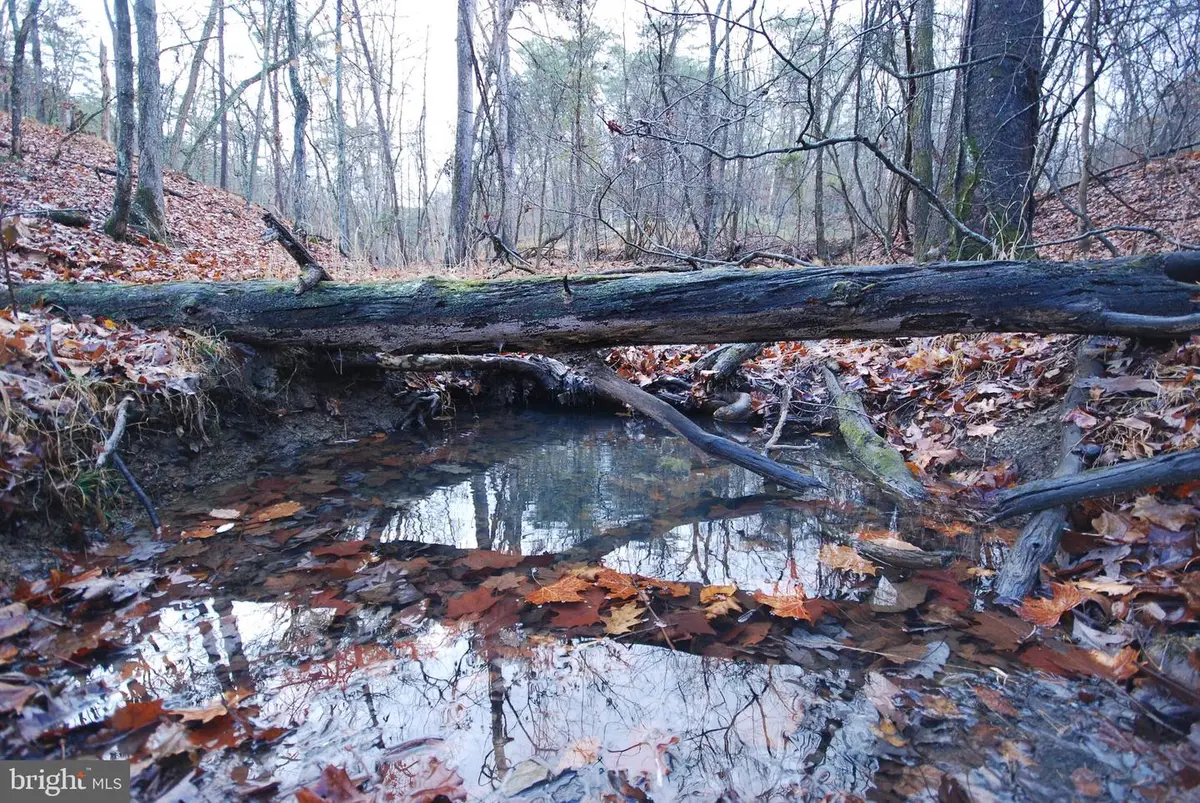 Lot 29 & 30 Staubwoods Dr, Romney, WV 26757 - Image #1