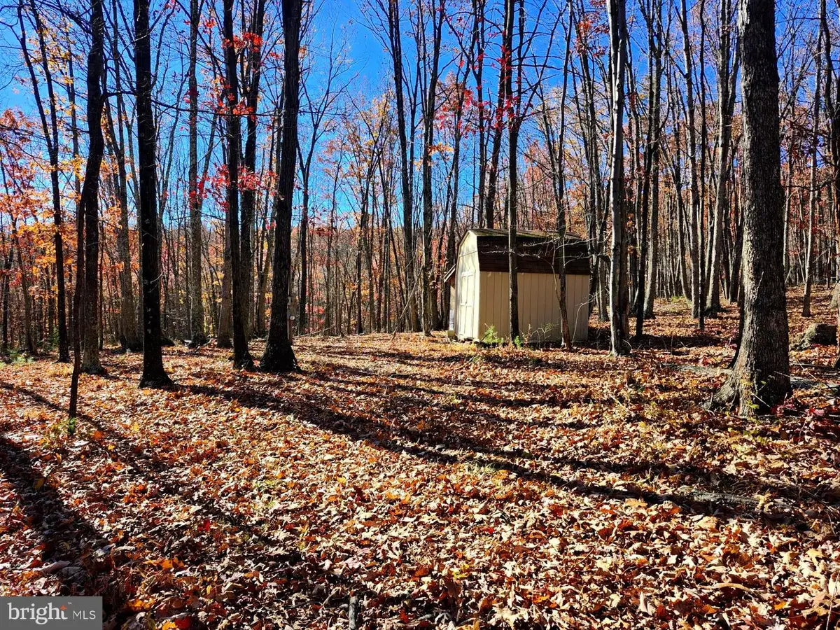 176 Rendezvous Rd, Delray, WV 26714 - Image #1