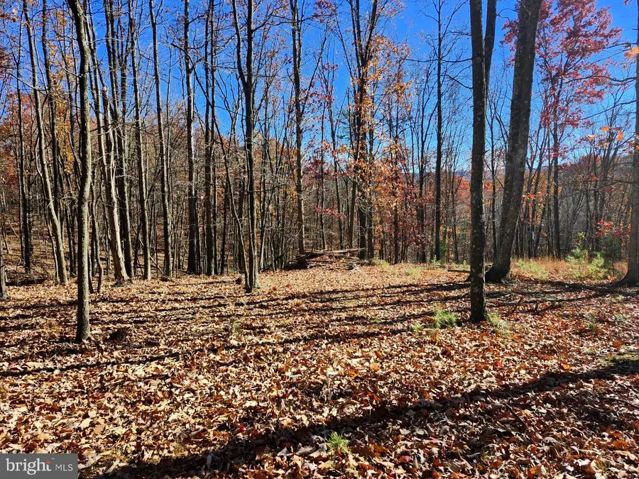 176 Rendezvous Rd, Delray, WV 26714 - Image #2