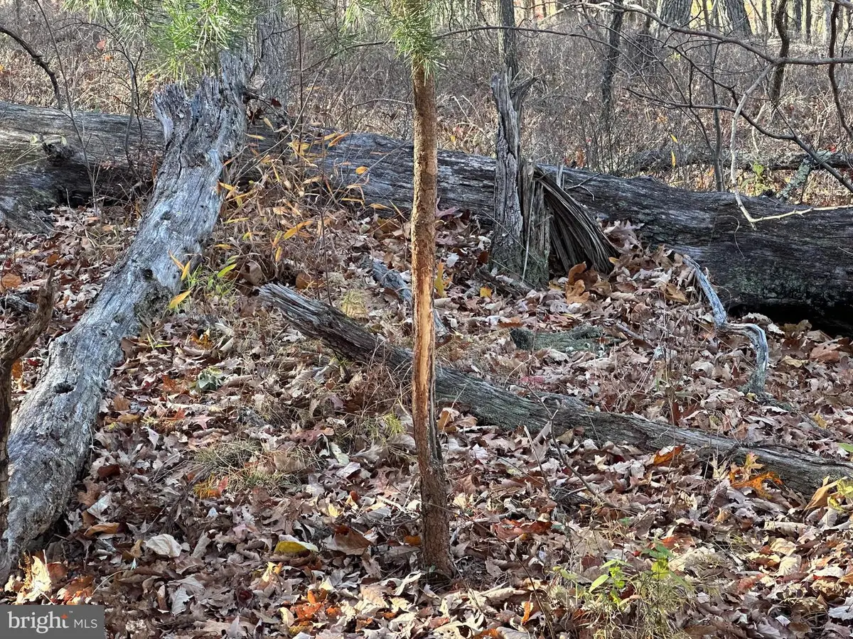 Babbling Brook Lane, Romney, WV 26757 - Image #1