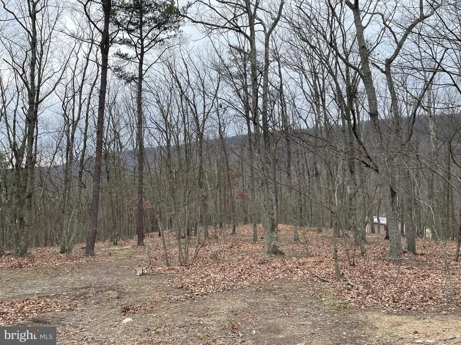 9.50 Ac Bird Ridge Rd, Springfield, WV 26763 - Image #3