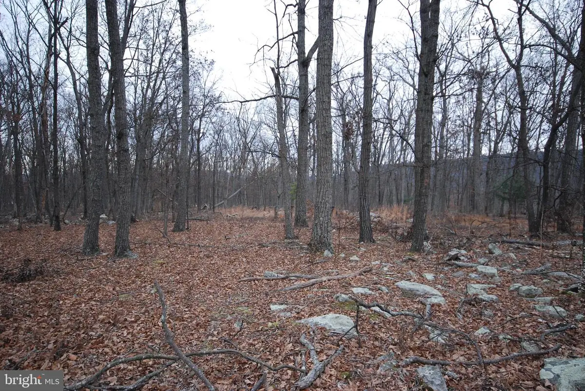 Lot 21 Gold Nugget Rd, Augusta, WV 26704 - Image #1