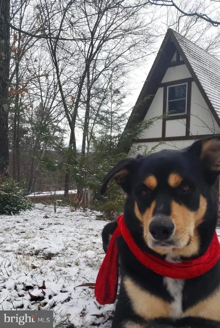 886 Mountain Heritage Estates Rd, Augusta, WV 26704 - Image #2