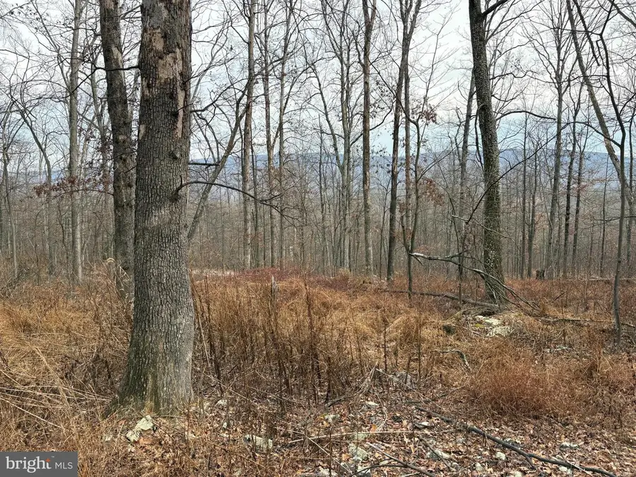 10.03 Ac Dove Dr, Paw Paw, WV 25434 - Image #3