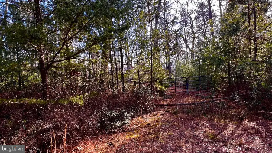 Lot-17 & 18 Short Pine Ct, Yellow Spring, WV 26865 - Image #3