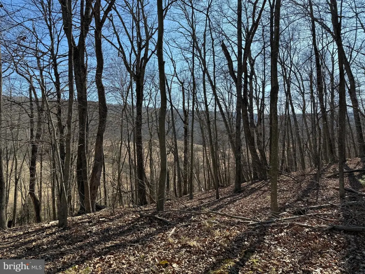 Lot 7 & 8 Hidden Ritters Valley, Capon Bridge, WV 26711 - Image #1