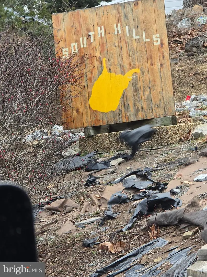 Lot 1 Cornwell Dr, Romney, WV 26757 - Image #2