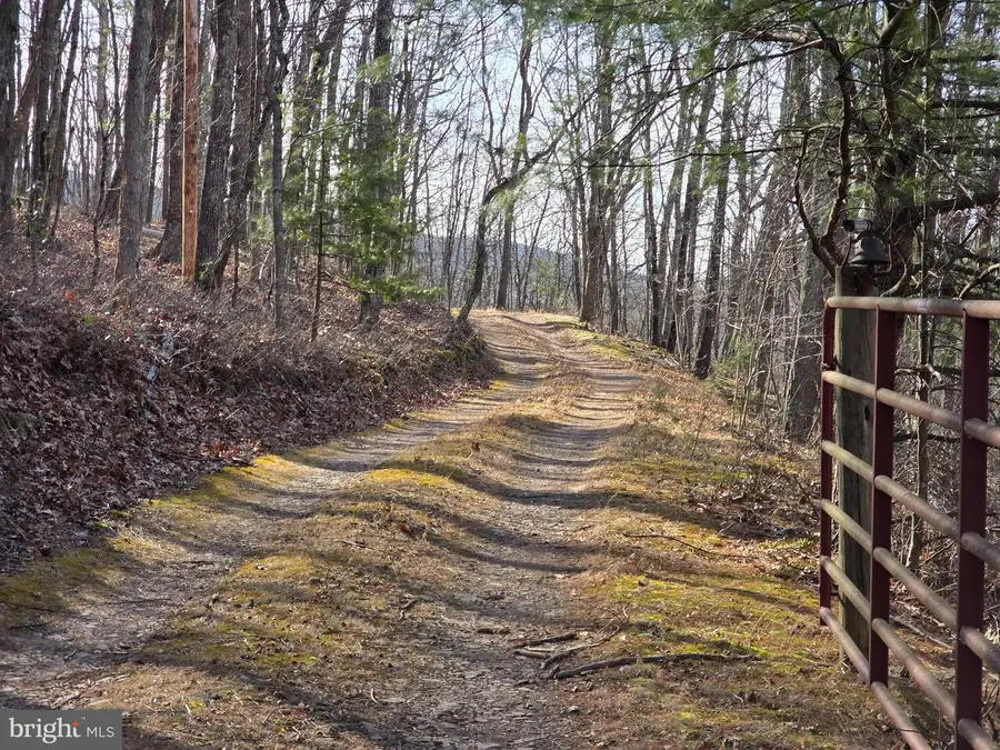 4605 Critton Owl Hollow Rd, Paw Paw, WV 25434 - #2