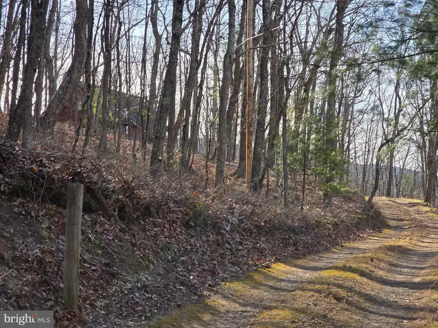 4605 Critton Owl Hollow Rd, Paw Paw, WV 25434 - #3