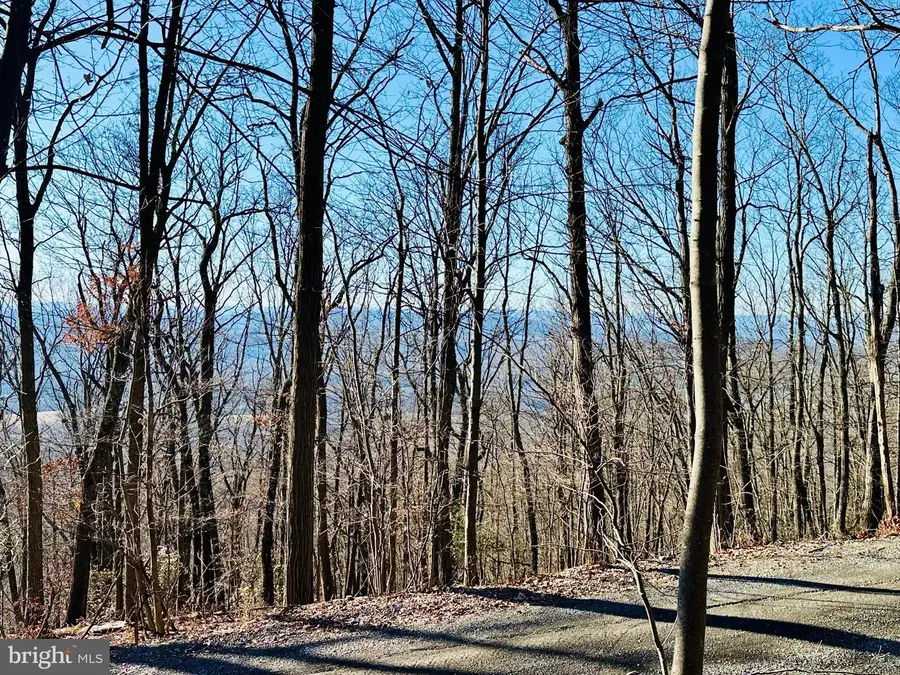 256 Lawyer Ln, Slanesville, WV 25444 - #2