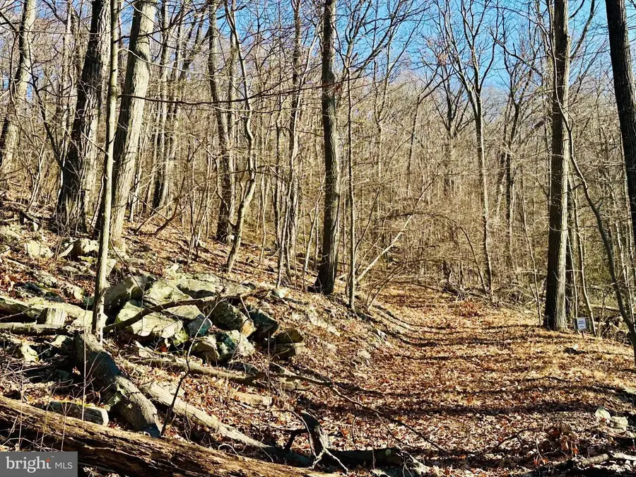 256 Lawyer Ln, Slanesville, WV 25444 - #3