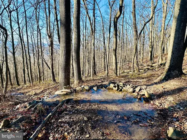 Lot 13 Sec 8 Lawyer Ln, SLANESVILLE, WV 25444