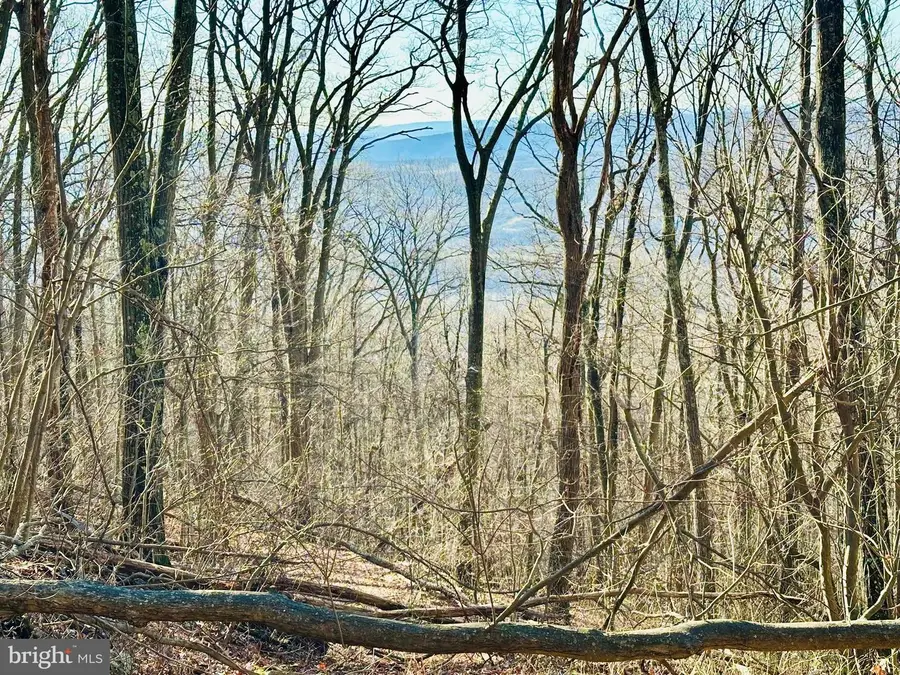 Lot 13 Sec 8 Lawyer Ln, Slanesville, WV 25444 - #3