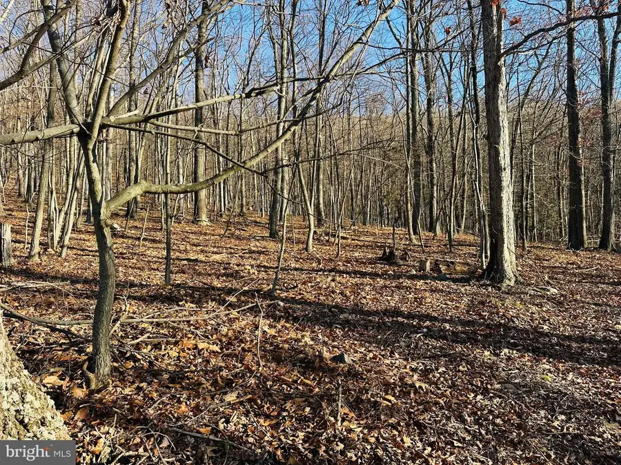 Lot 18 Sec 8 Butterfly Ln, Slanesville, WV 25444 - #2