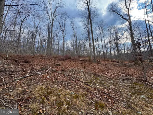 Frog Hollow Road, CAPON BRIDGE, WV 26711