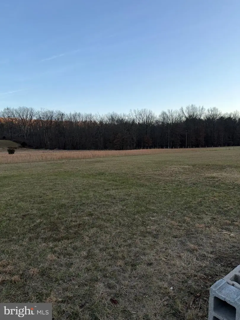 350 Raging River Dr, Capon Bridge, WV 26711 - #2