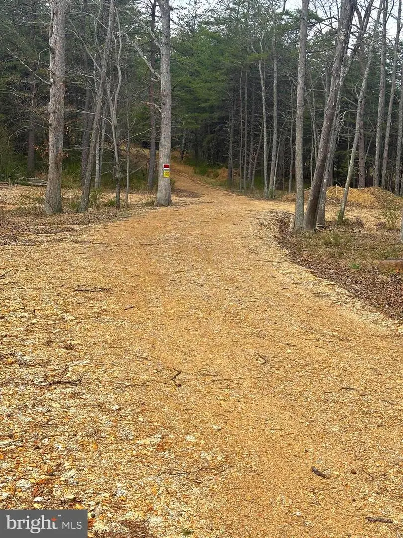 Dillions Run Road, Capon Bridge, WV 26711 - #1
