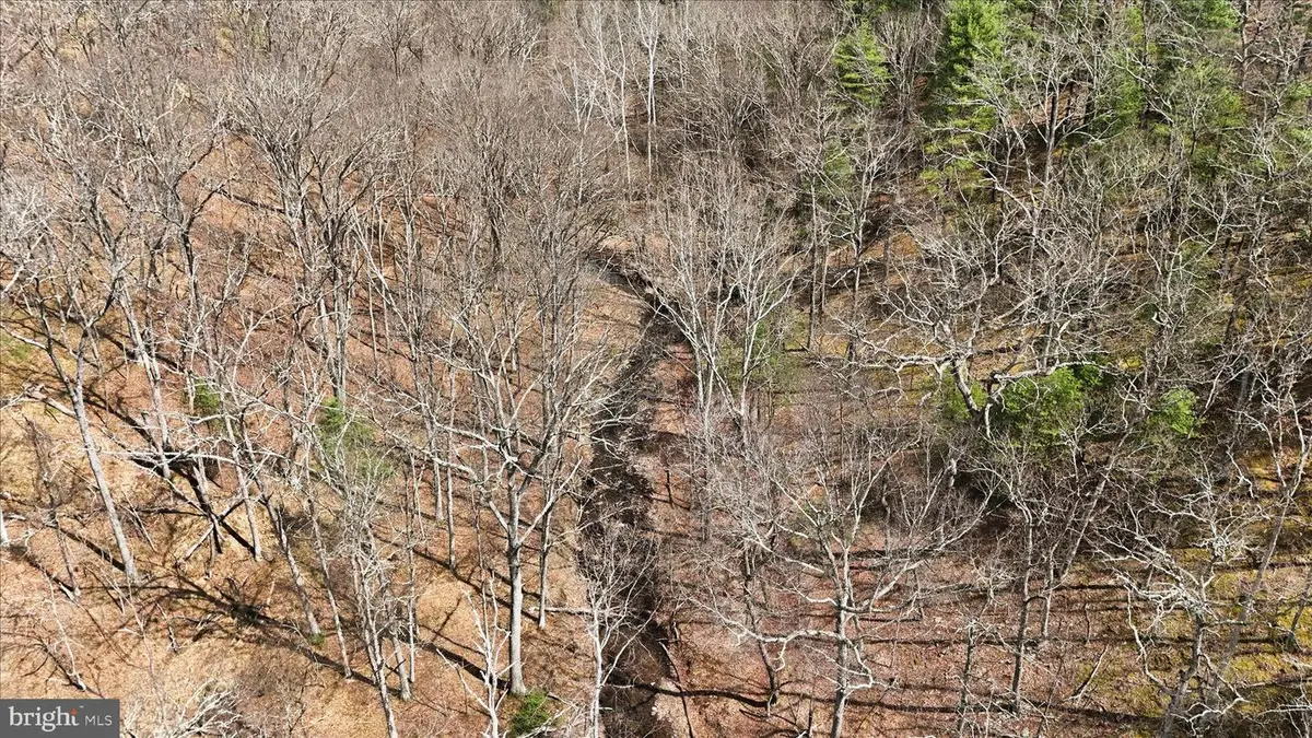 Lot 62 Phase 2 Crest Haven Rd, Romney, WV 26757 - #1