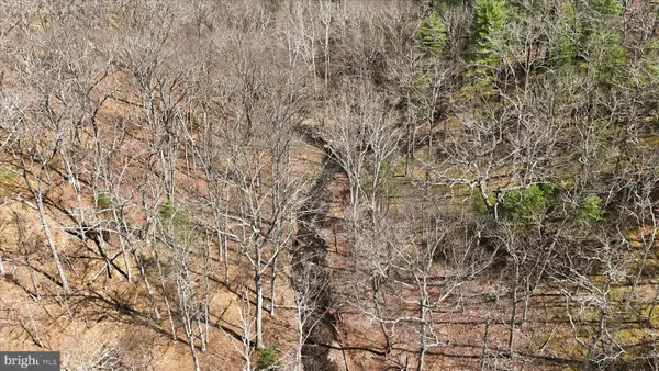 Lot 62 Phase 2 Crest Haven Rd, ROMNEY, WV 26757