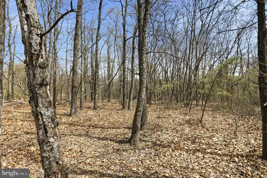 Lot 62 Phase 2 Crest Haven Rd, Romney, WV 26757 - #3