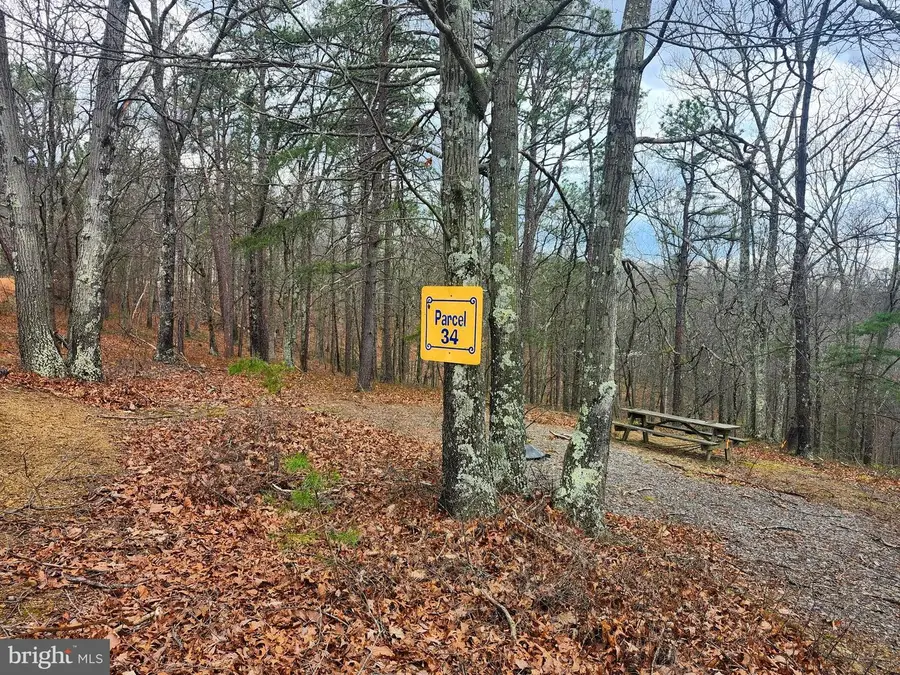 4.73 Ac Brown Cardinal Ridge, Romney, WV 26757 - #2