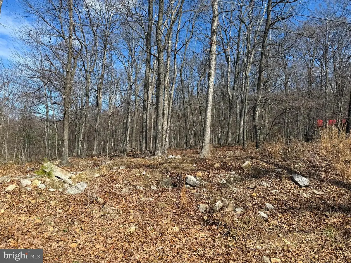 Lot 65 High Mountain View Rd, Romney, WV 26757 - #1