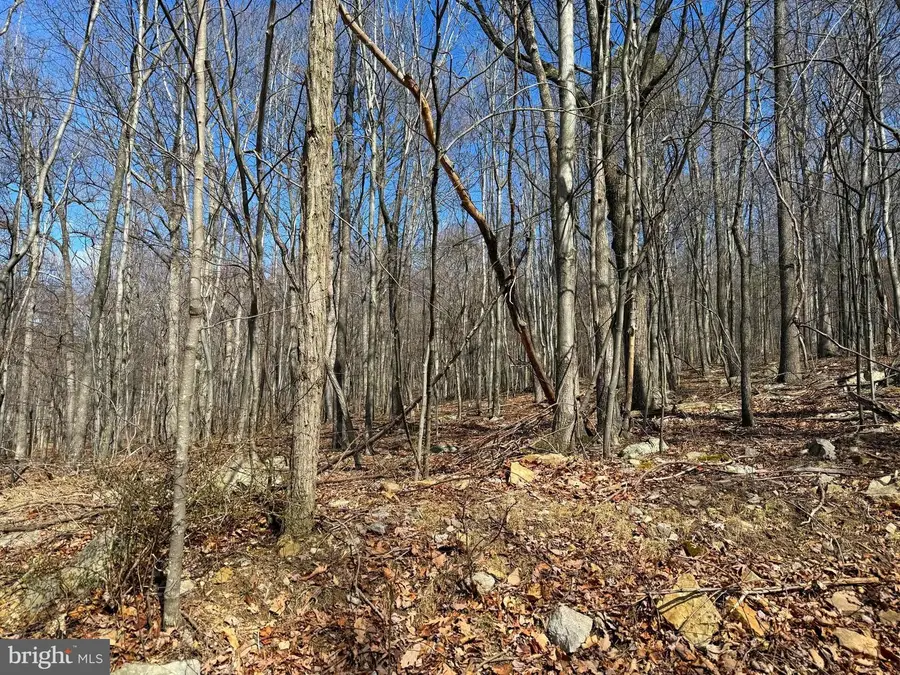 Lot 63 High Mountain View Rd, Romney, WV 26757 - #2