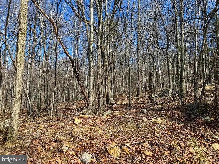 Lot 63 High Mountain View Rd, Romney, WV 26757 - #3