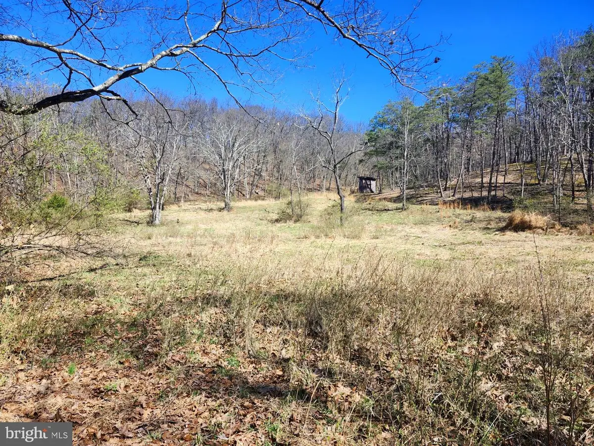 A.j. Kelley Rd, Purgitsville, WV 26852 - #1