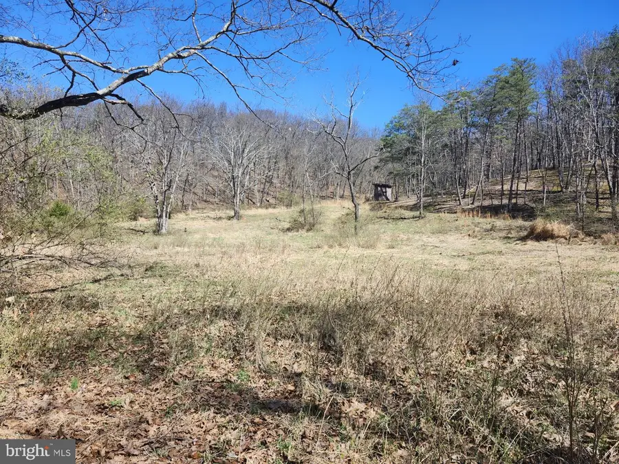 A.j. Kelley Rd, Purgitsville, WV 26852 - #3