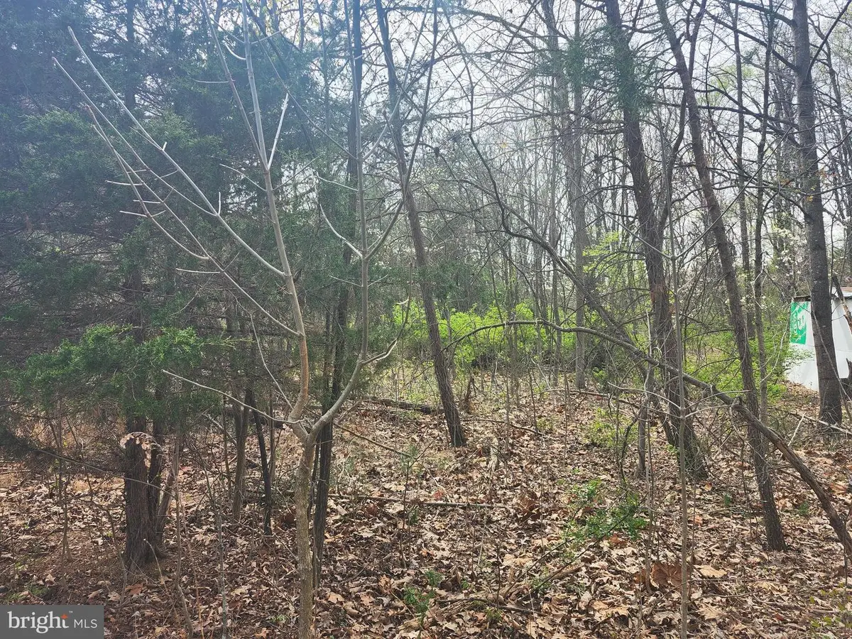 Lot 25 Shumac Trail, Augusta, WV 26704 - #1