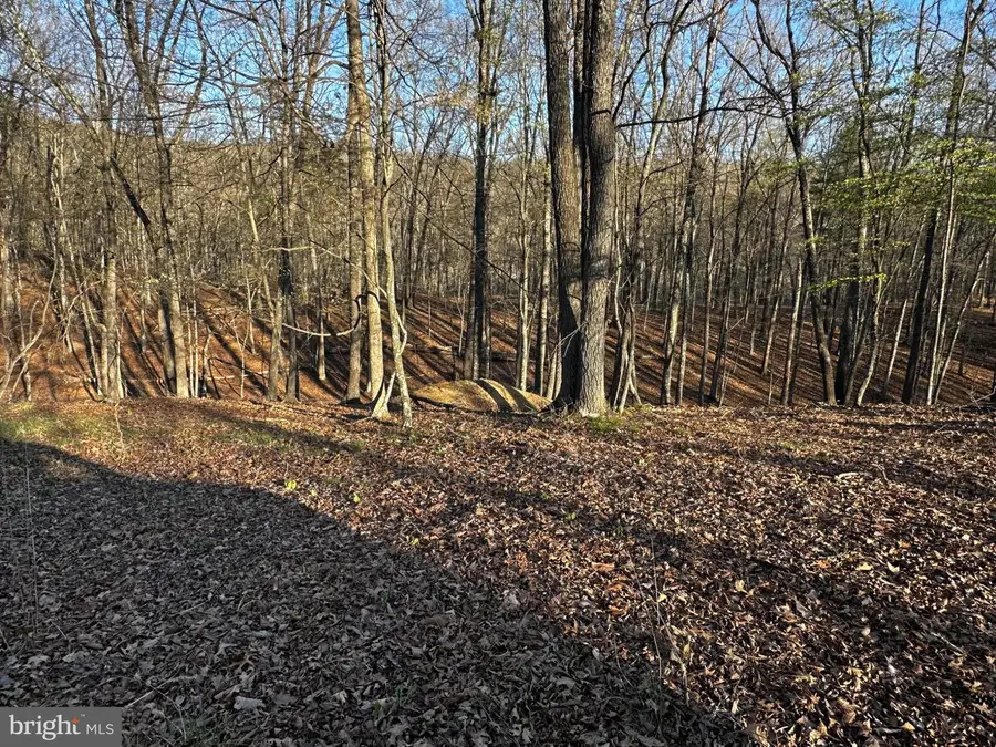 Crossings View Rd Rd, Paw Paw, WV 25434 - #2