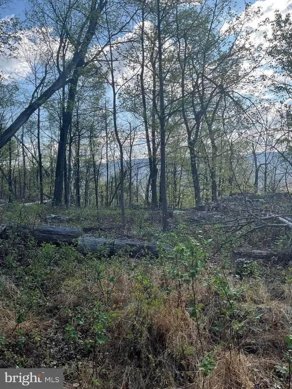 Lot 44a Mountain Top Rd, PAW PAW, WV 25434