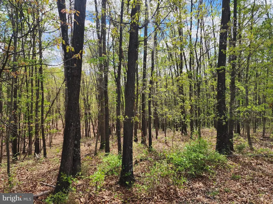 E Tillie Dr, Delray, WV 26714 - #3