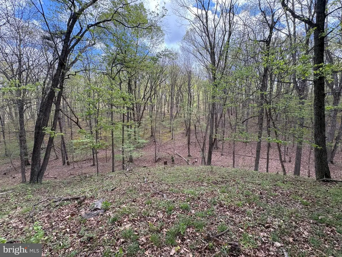 15.02 Ac Beam Rd, Romney, WV 26757 - #1