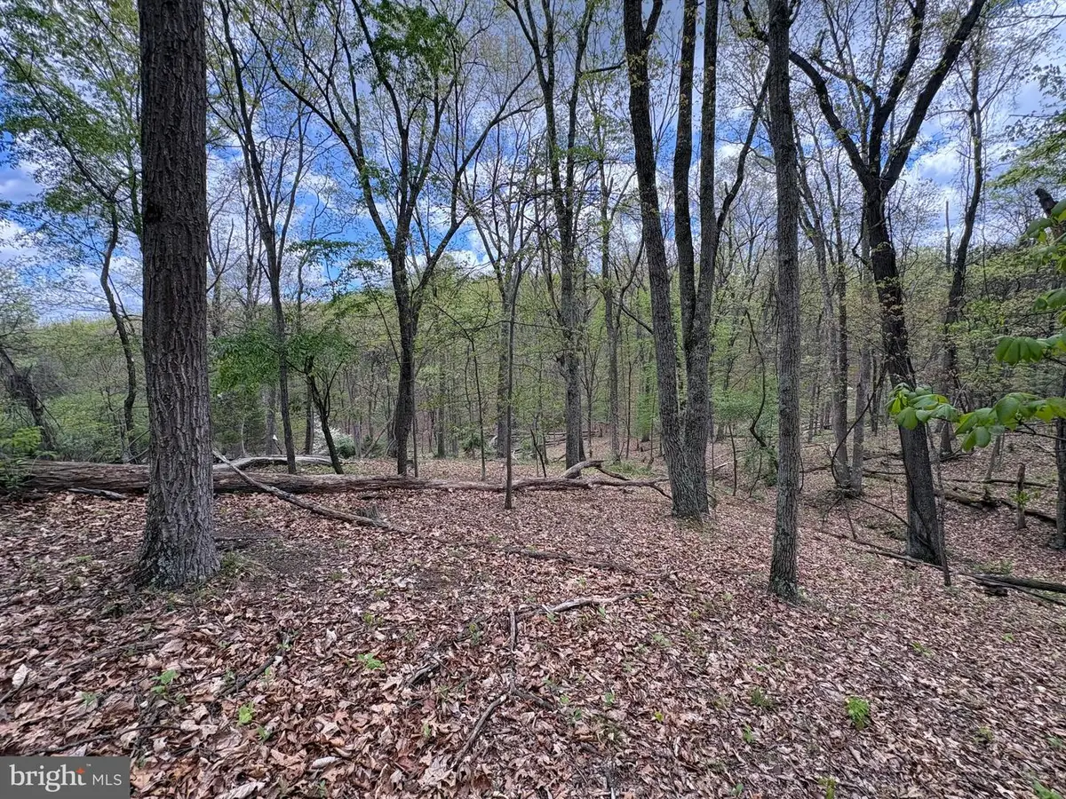 5 Ac Beam Rd, Romney, WV 26757 - #1