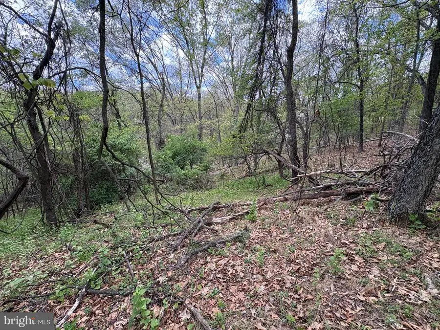 5 Ac Beam Rd, Romney, WV 26757 - #3
