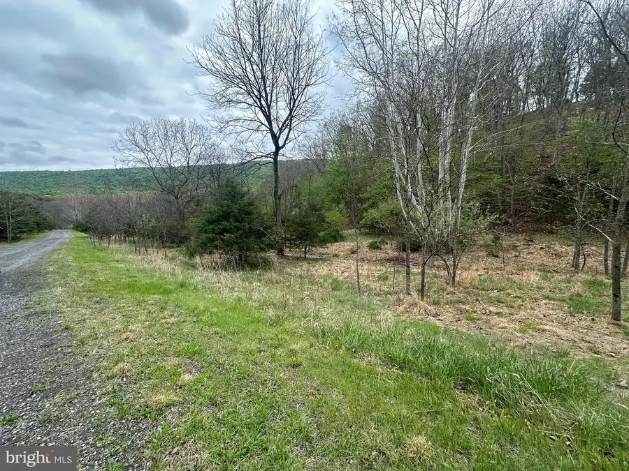 Lot 32 Moose Hollow Rd, Romney, WV 26757 - #2