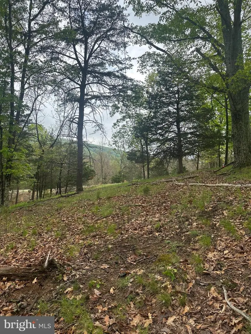 Lot 37 W Hamilton Estates Dr, Romney, WV 26757 - #3