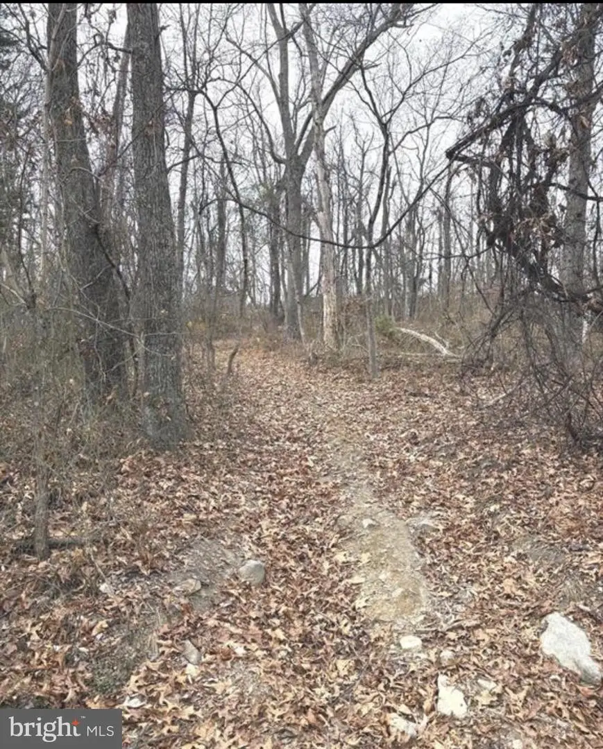 274 Dehaven Dr, Capon Bridge, WV 26711 - #1