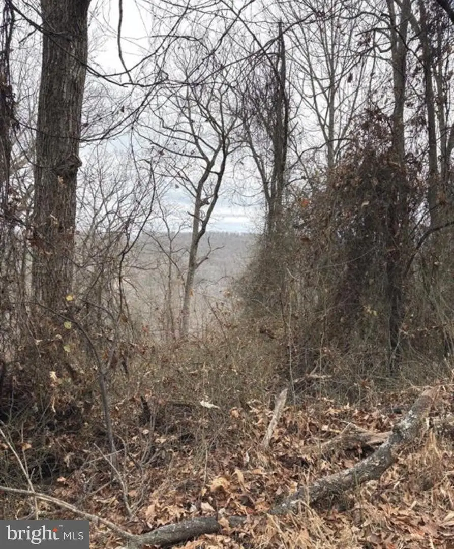 274 Dehaven Dr, Capon Bridge, WV 26711 - #2