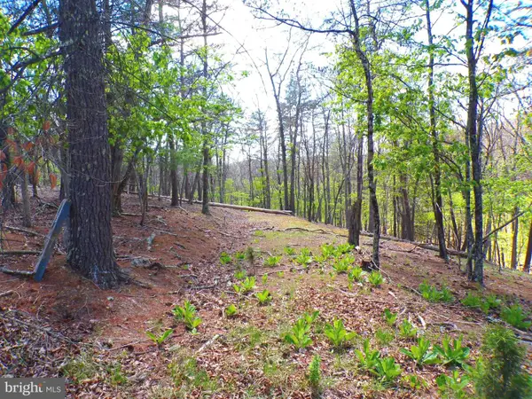Lot 120 Crossings @ Cacapon, PAW PAW, WV 25434