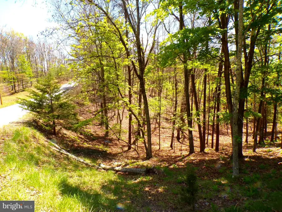 Lot 120 Crossings @ Cacapon, Paw Paw, WV 25434 - #3