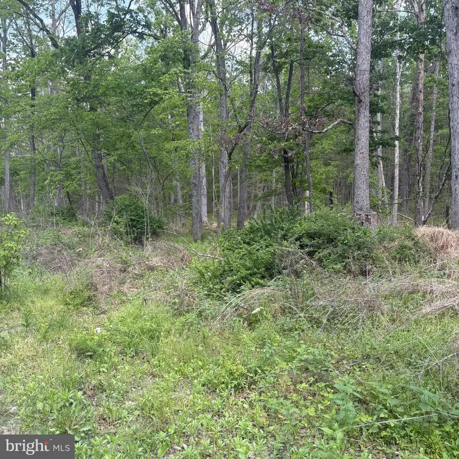 11-sec 6 Haines Dr, Capon Bridge, WV 26711 - #2