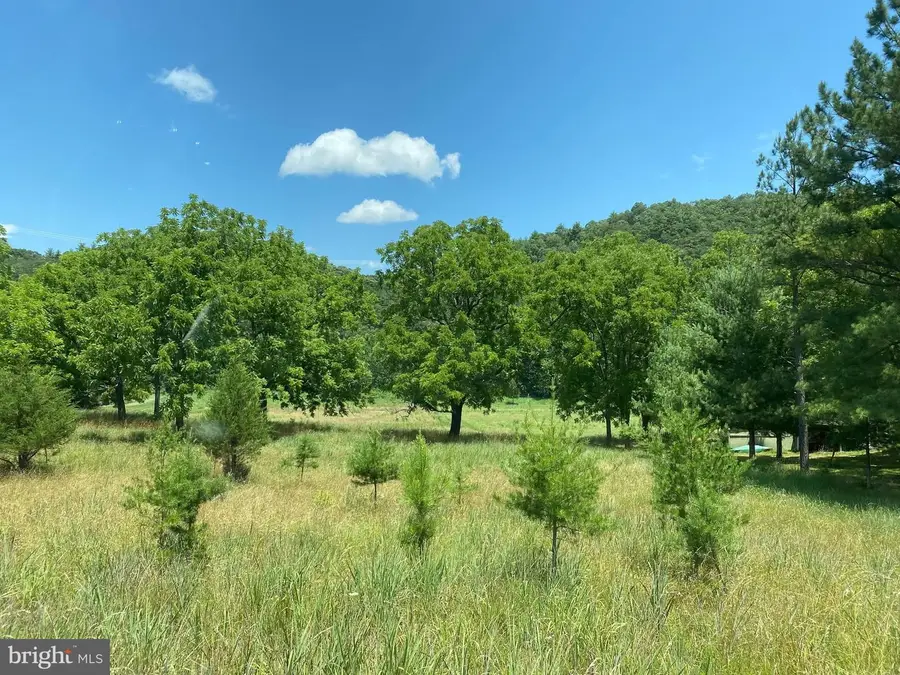 Lot 43 River Bend Dr, Paw Paw, WV 25434 - #3